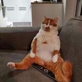 Entry image for Mr. Pancake