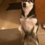 Entry image for Aura 