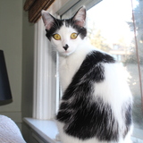 Entry image for Ginny