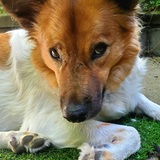 Entry image for Harbin