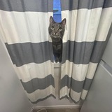 Entry image for Jasper 