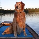 Entry image for Talia