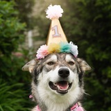 Entry image for Nori