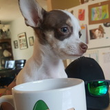 Entry image for Beau