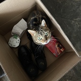 Entry image for Marble