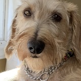 Entry image for Sunshine