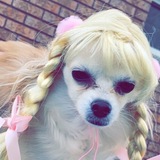 Entry image for Miss coco Chanel 