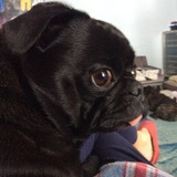 Entry image for Boulez Mansz Burrows