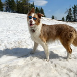 Entry image for Fynley