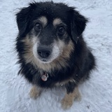 Entry image for Madeline