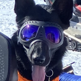 Entry image for Heli