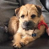 Entry image for Rufus 