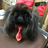 Entry image for Mr Ming