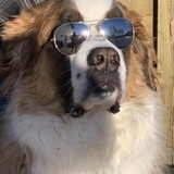 Entry image for Bekka