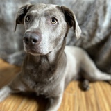 Entry image for River