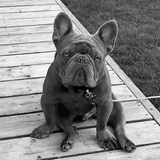 Entry image for Larry