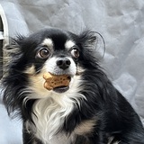 Entry image for Hops