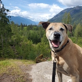 Entry image for Milo