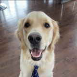 Entry image for Covy