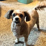 Entry image for Chloe 