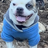 Entry image for Hero