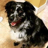 Entry image for Zero