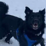 Entry image for Chase