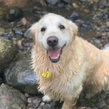 Entry image for Kali