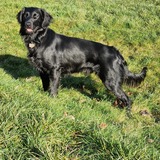 Entry image for Loki