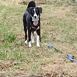 Entry image for Storm