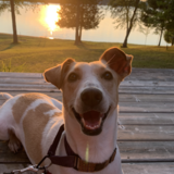 Entry image for Deborah