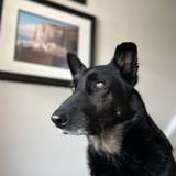 Entry image for Hunter