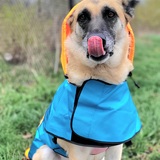 Entry image for Nova