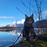 Entry image for Sebastian 