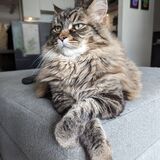 Entry image for Nimoy Jenkins