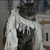 Entry image for Scooter