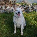 Entry image for Cana