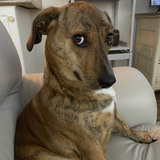 Entry image for Minnie