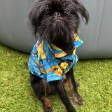 Entry image for Nero