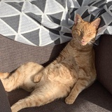 Entry image for Jesse Katsopolis