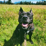 Entry image for Atlas