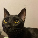 Entry image for Doctor Strange