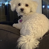 Entry image for Mac McCulley