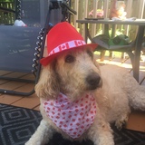 Entry image for Delila