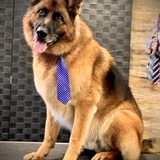 Entry image for Jackson 