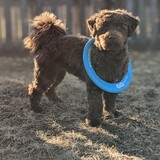 Entry image for Miller