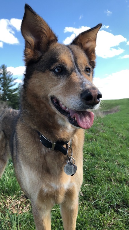 Entry image for Heidi. Clicking this image will show a larger photo