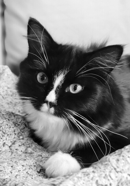 Entry image for Mini Driver. Clicking this image will show a larger photo