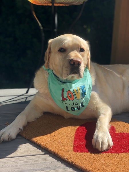 Entry image for Yukon. Clicking this image will show a larger photo