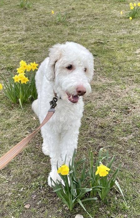 Entry image for River . Clicking this image will show a larger photo